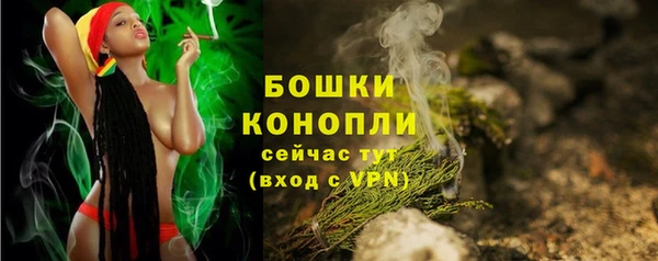 прущие грибы Гусев