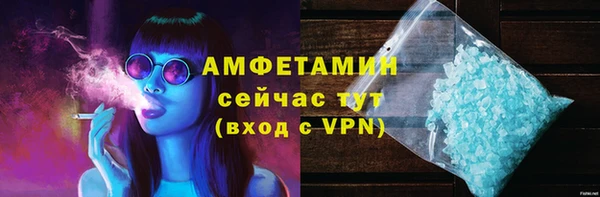 прущие грибы Гусев
