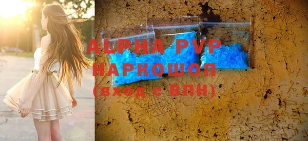 прущие грибы Гусев