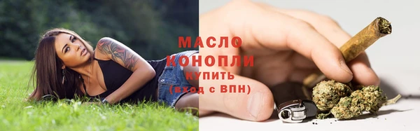 гидропоника Дмитриев