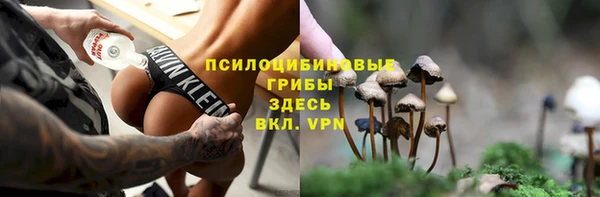 прущие грибы Гусев