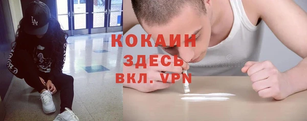 прущие грибы Гусев