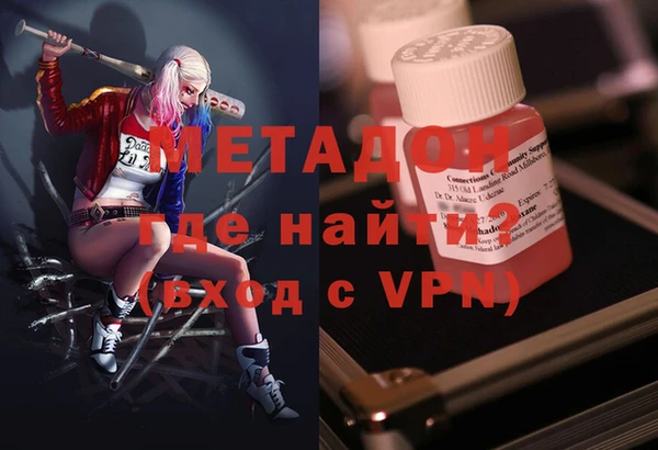 прущие грибы Гусев
