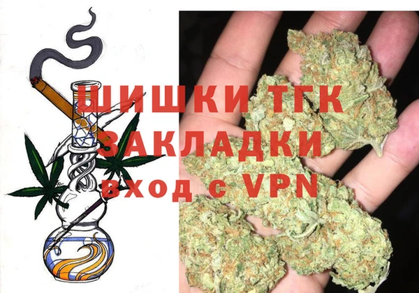 прущие грибы Гусев