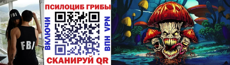 Псилоцибиновые грибы мицелий  Купить закладки  Кандалакша 