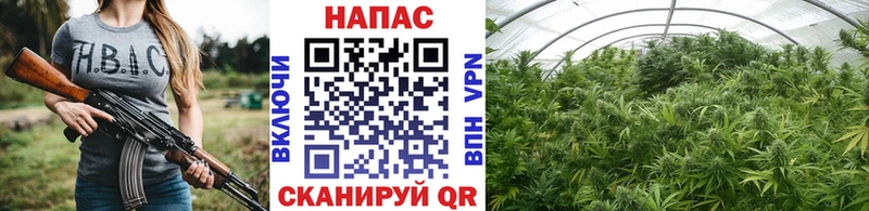 Купить  Кандалакша  Бошки Шишки планчик 